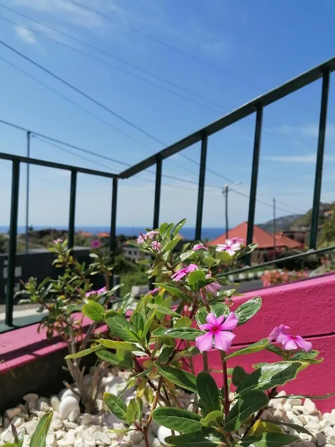 Westerland House Ribeira Brava 0*,